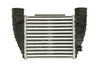 Intercooler Thermotec DAA016TT