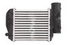 INTERCOOLER THERMOTEC DAA018TT - Compatibil cu AUDI
