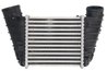 INTERCOOLER THERMOTEC DAA023TT - Compatibil cu AUDI, SEAT