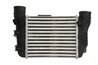 Intercooler Thermotec DAA025TT