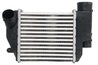 Intercooler Thermotec DAA026TT