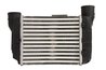 Intercooler Thermotec DAA025TT