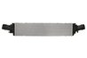 INTERCOOLER THERMOTEC DAA032TT - Compatibil cu AUDI