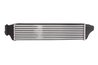 INTERCOOLER THERMOTEC DAB004TT - Compatibil cu BMW