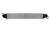 INTERCOOLER THERMOTEC DAB008TT - Compatibil cu MINI