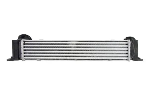 Intercooler Thermotec DAB009TT