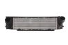 Intercooler Thermotec DAB010TT