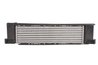 Intercooler Thermotec DAB010TT
