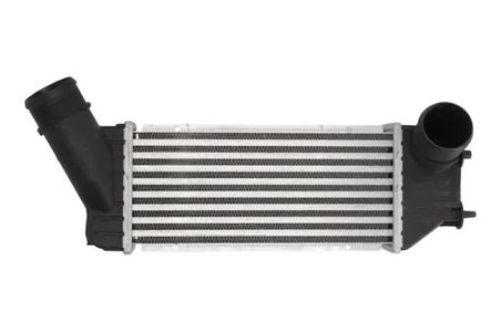 Intercooler Thermotec DAC001TT