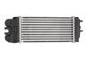 INTERCOOLER THERMOTEC DAC002TT - Compatibil cu CITROEN, PEUGEOT