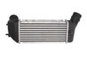 Intercooler Thermotec DAC001TT