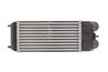 INTERCOOLER THERMOTEC DAC003TT - Compatibil cu CITROEN, PEUGEOT