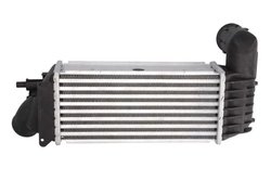 Intercooler Thermotec DAC005TT