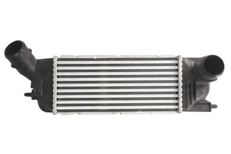 Intercooler Thermotec DAC009TT