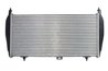 Intercooler Thermotec DAC010TT