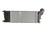 Intercooler Thermotec DAC009TT