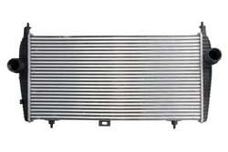 Intercooler Thermotec DAC010TT