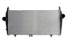 Intercooler Thermotec DAC010TT