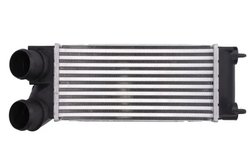 Intercooler Thermotec DAC013TT