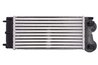 INTERCOOLER THERMOTEC DAC013TT - Compatibil cu CITROEN, DS, PEUGEOT