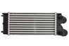 Intercooler Thermotec DAC015TT