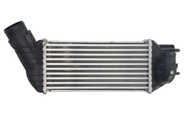 Intercooler Thermotec DAC019TT
