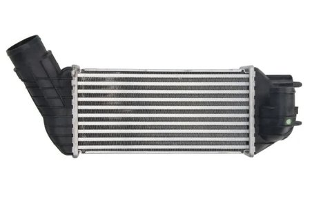 Intercooler Thermotec DAC019TT