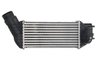 Intercooler Thermotec DAC019TT