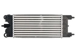 Intercooler Thermotec DAC020TT