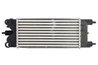 Intercooler Thermotec DAC020TT
