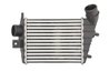 Intercooler Thermotec DAD001TT