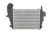 Intercooler Thermotec DAD001TT