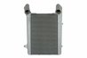 INTERCOOLER THERMOTEC DADA002TT - Compatibil cu DAF