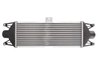 INTERCOOLER THERMOTEC DAE001TT - Compatibil cu IVECO
