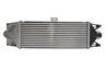 Intercooler Thermotec DAE002TT