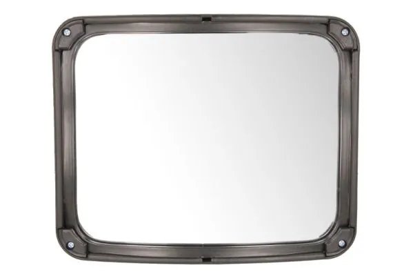 OGLINDA EXTERIOARA PACOL DAF-MR-026 - Compatibil cu DAF