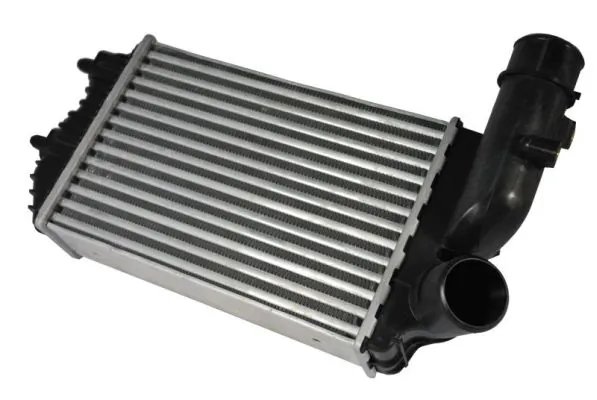 Intercooler Thermotec DAF001TT