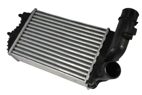 Intercooler Thermotec DAF001TT