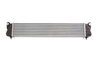 INTERCOOLER THERMOTEC DAF005TT - Compatibil cu FIAT, SUZUKI