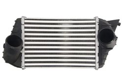 Intercooler Thermotec DAF009TT