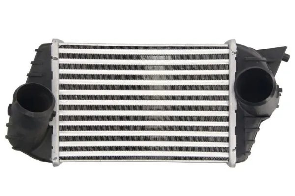 Intercooler Thermotec DAF009TT
