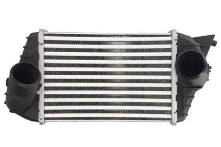 Intercooler Thermotec DAF009TT