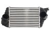 Intercooler Thermotec DAF009TT