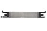 INTERCOOLER THERMOTEC DAF008TT - Compatibil cu ALFA ROMEO, FIAT