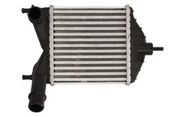 Intercooler Thermotec DAF014TT