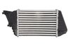 Intercooler Thermotec DAF009TT