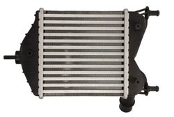 INTERCOOLER THERMOTEC DAF014TT - Compatibil cu FIAT, LANCIA