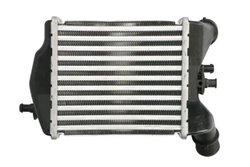 INTERCOOLER THERMOTEC DAF017TT - Compatibil cu ABARTH