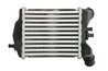 INTERCOOLER THERMOTEC DAF017TT - Compatibil cu ABARTH