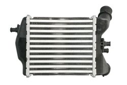 Intercooler Thermotec DAF018TT